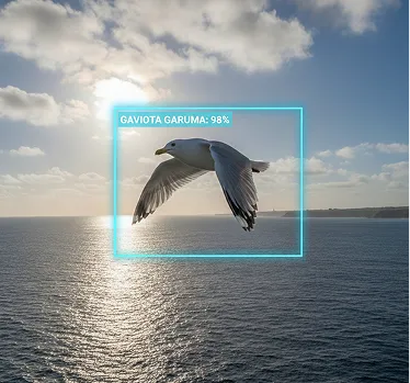 AI-BASED SPECIES IDENTIFICATION