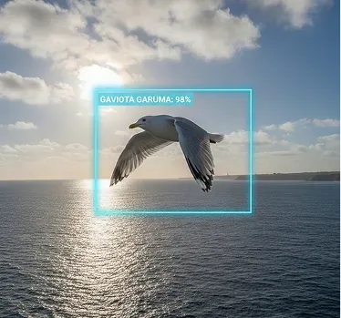 AI-BASED SPECIES IDENTIFICATION